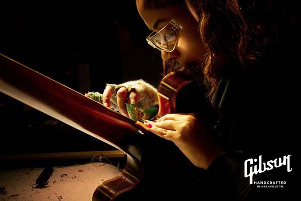 Gibson guitar photos 