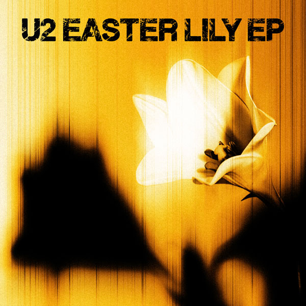 U2 Easter Lily 