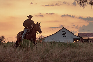 Dutton Ranch draws 12.9 million viewers in record-breaking first week