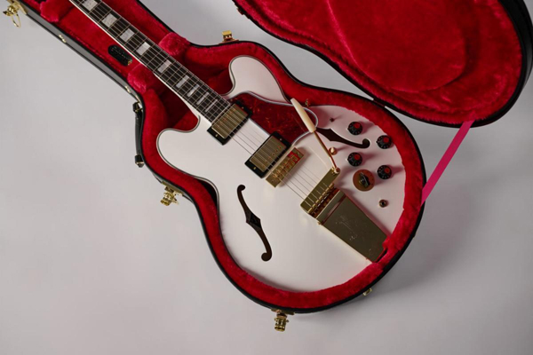 Epiphone Alex Lifeson case photo