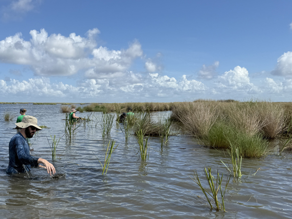 Gulf of America Alliance funds 20 regional resilience projects