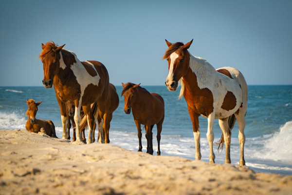 Choice Hotels International launches new summer road trip guide for unexpected travel destinations
