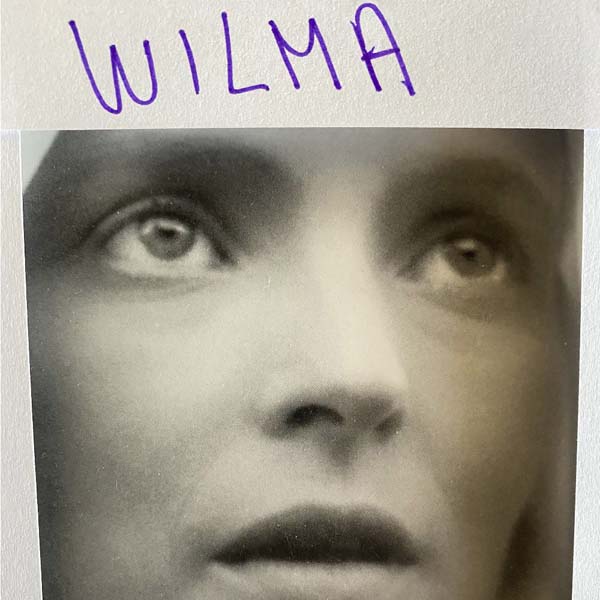 Italian composer Daniele Luppi announces new album Wilma paying homage to 1970s Italian cinema